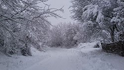 Влада ОДА обурена тим, як у Смілі розчищають дороги від снігу