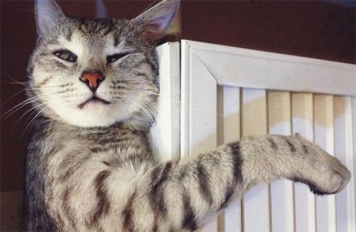 Багатостраждальний опалювальний сезон добігає кінця, а проблеми залишаються ті ж... Багатостраждальний опалювальний сезон добігає кінця, а проблеми залишаються ті ж...